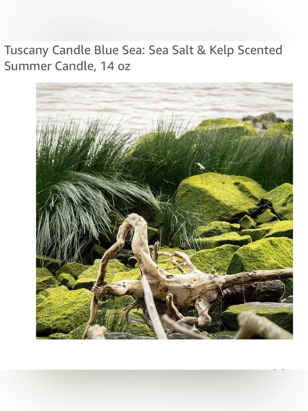 Tuscany Blue Sea 3-Wick Soy Blend Candle — Blue, Yellow, Green